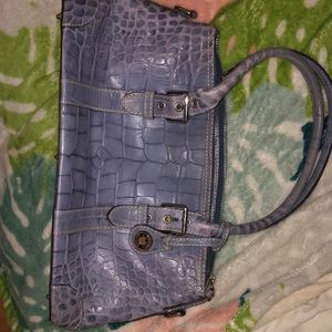 Periwinkle Dooney and Bourke purse